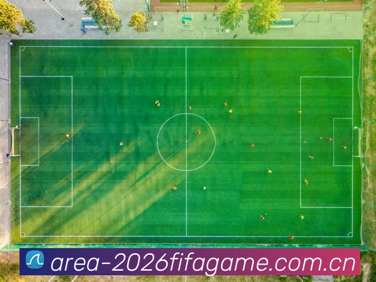 FIFA官方数据授权认证